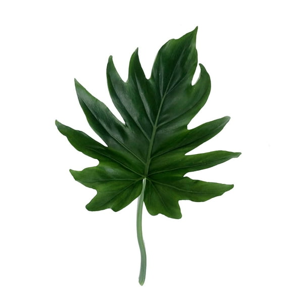 Philodendron Hope - Farm Direct Fresh Cut Flowers - 90 Stems