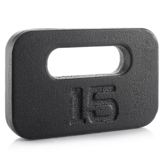 Philosophy Gym Cast Iron Ruck Weight - 15 LB Weighted Fitness Plate with Handle