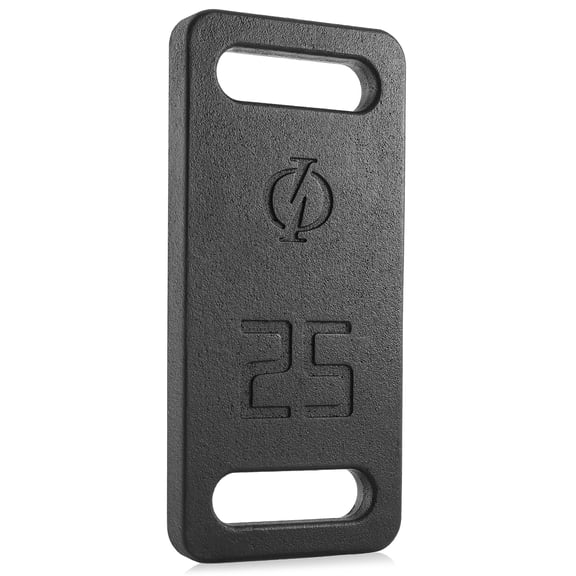 Philosophy Gym Cast Iron Ruck Weight - 25 LB Weighted Fitness Plate with Handle