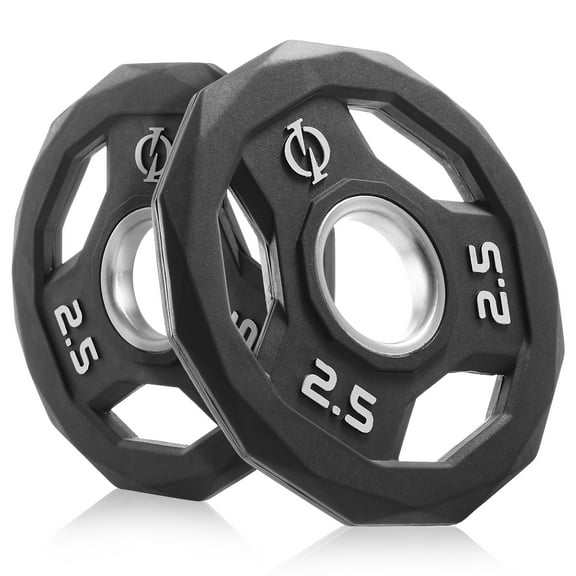 Philosophy Gym Set of 2 Rubber Coated 2-inch Olympic Grip Weight Plates (2.5 LB each) for Weightlifting
