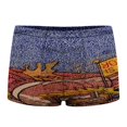 thumbnail image 1 of Phish Your Trip Is Short Men's Mesh Boxer Briefs Cooling Breathable Sports Underwear Vertical Fly, 1 of 5