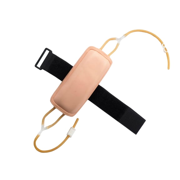 Phlebotomy Practice Venipuncture Training Arm Nurse Studying Model