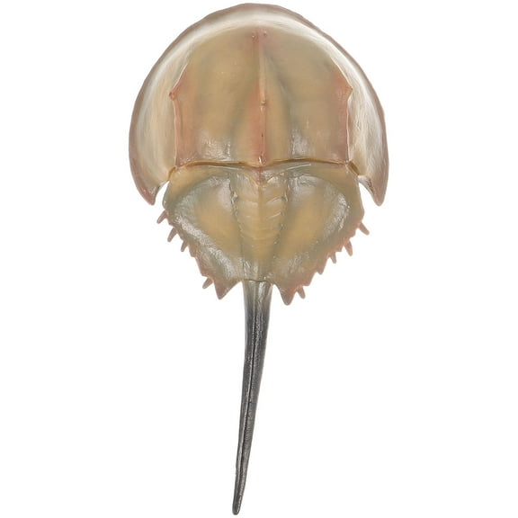 Phlegsive Realistic Sea Animal Figurine Plastic Ocean Fish Figure Educational Toy for Kids