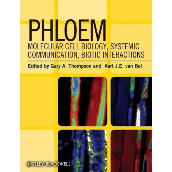 Pre-Owned Phloem: Molecular Cell Biology, Systemic Communication, Biotic Interactions, (Hardcover)