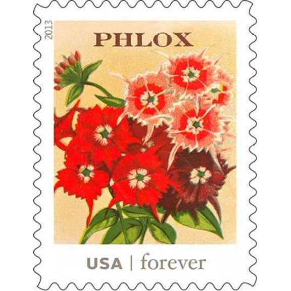 Phlox Canvas Art - US POSTAL SERVICE (22 x 28)