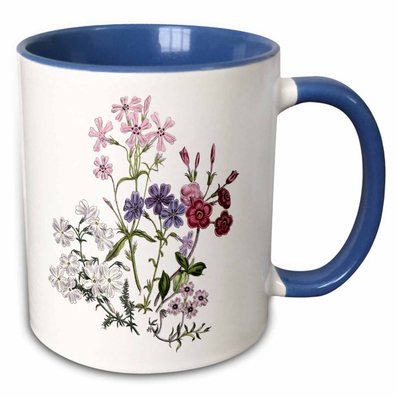 3drose, Phlox in Lavender, Pink, White and Mauve, 11oz Two-tone Blue Mug