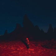 Phoebe Bridgers - Punisher - Music & Performance - Vinyl