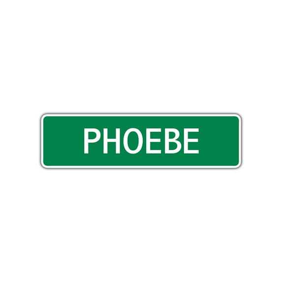 Phoebe Girls Children Name Indoor Outdoor Letter Printed Label Wall Plaque Decoration Aluminum Metal Sign 4"x18'