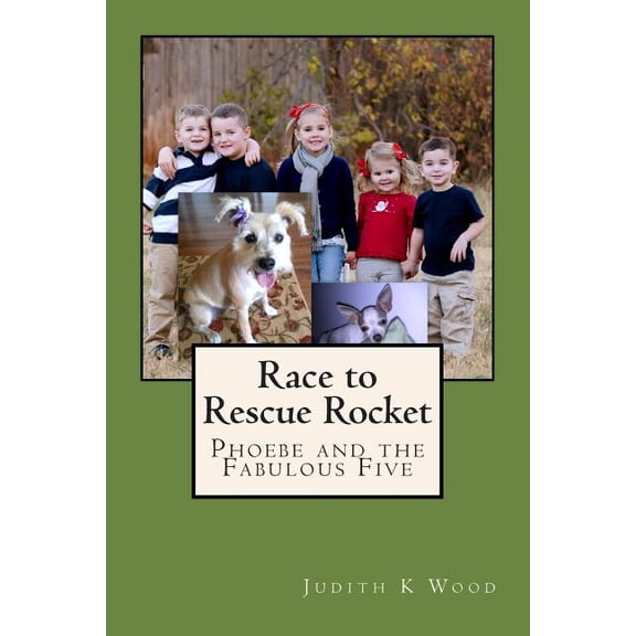 Race to Rescue Rocket