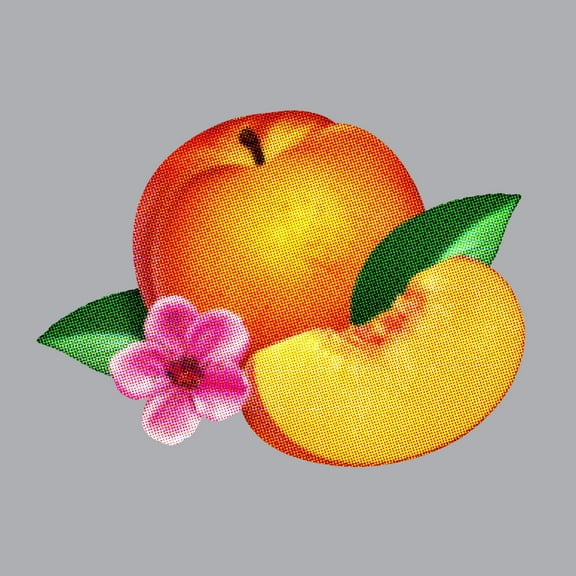 Phoenix - Bankrupt - Music & Performance - Vinyl