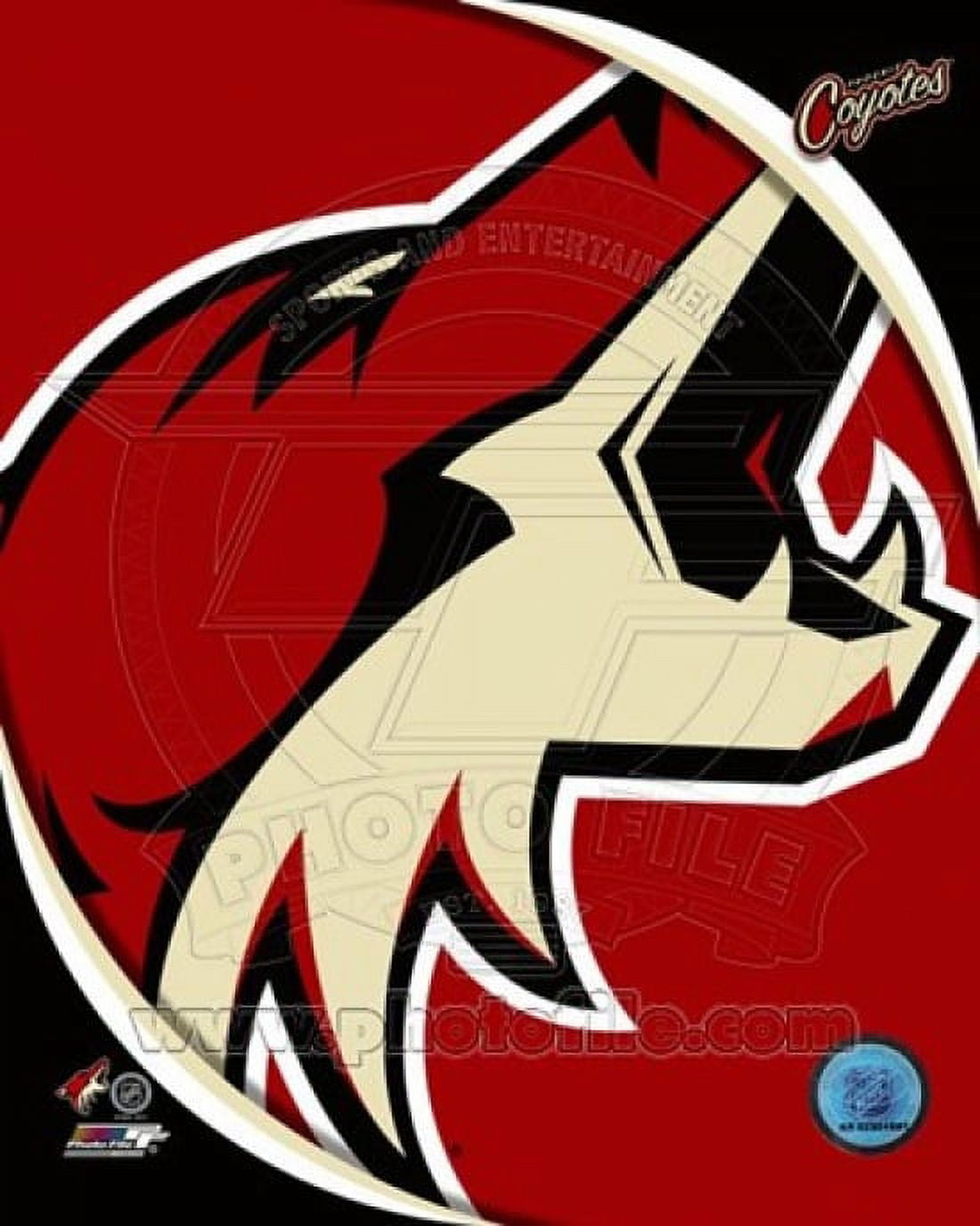 Phoenix Coyotes 2011 Team Logo Sports Photo - Walmart.com