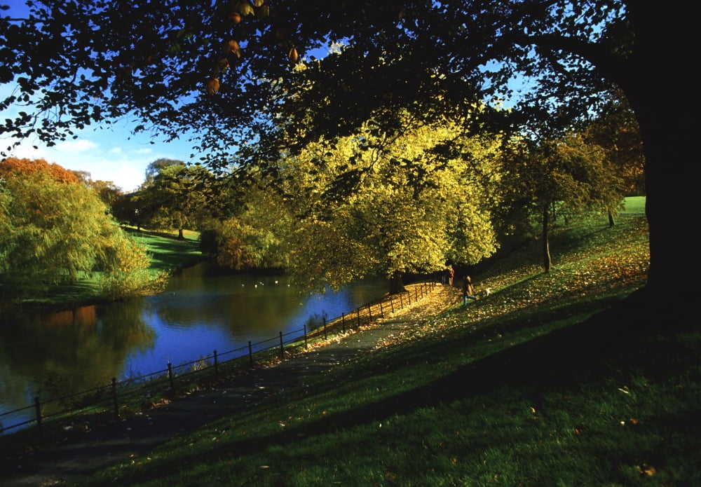 Phoenix Park Dublin Co Dublin Ireland Canvas Art - The Irish Image Collection Design Pics (36 x 24)
