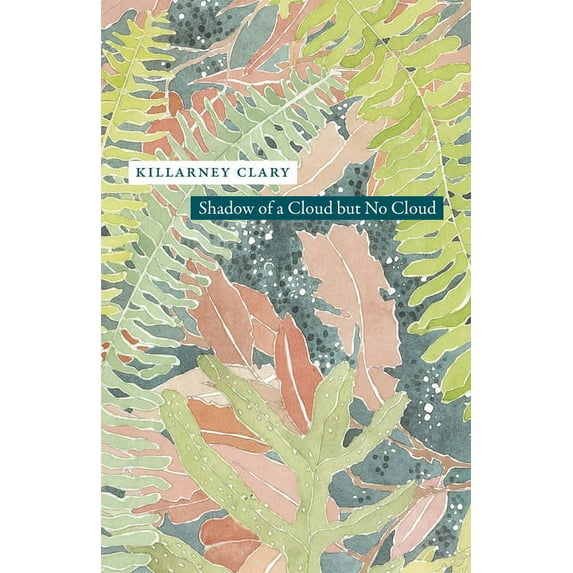 Phoenix Poets Shadow of a Cloud but No Cloud, (Paperback)