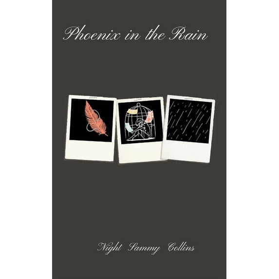 Phoenix in the Rain, (Paperback)