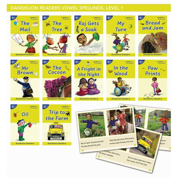 Phonic Books Beginner Decodable: Phonic Books Dandelion Readers Vowel Spellings Level 1 The Mail : Decodable Books for Beginner Readers Vowel Teams (Paperback)