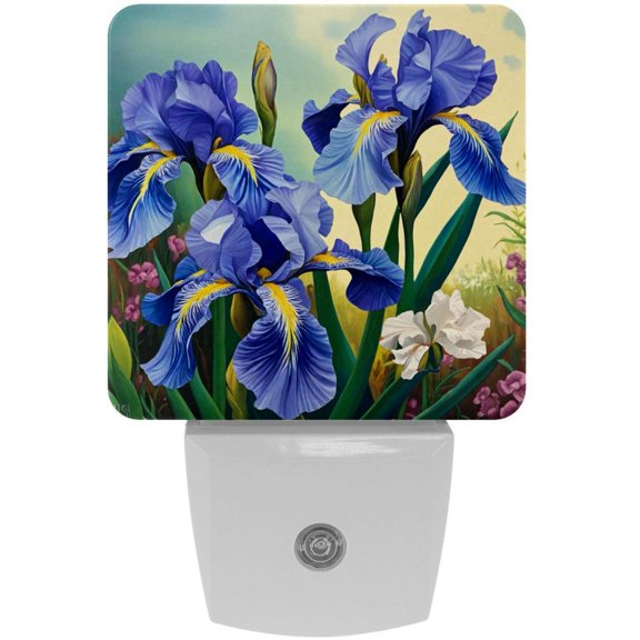 PhooArto Beautiful Purple Iris Painting Plug in LED Night Light Auto Sensor Dusk to Dawn Decorative Night for Bedroom, Bathroom, Kitchen, Hallway, Stairs, Baby's Room, Energy Saving