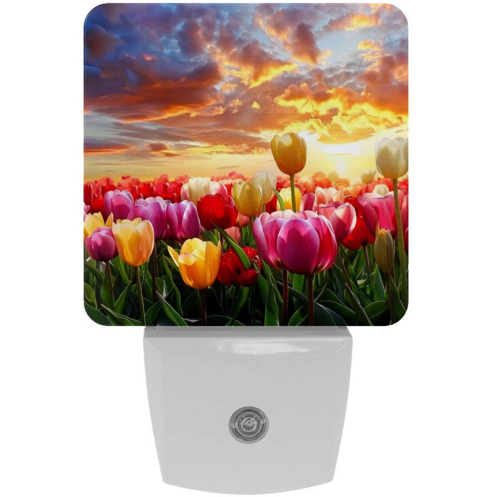 PhooArto Beautiful Tulip Floral Sunset Landscape Plug in LED Night Light Auto Sensor Dusk to Dawn Decorative Night for Bedroom, Bathroom, Kitchen, Hallway, Stairs, Baby's Room, Energy Saving