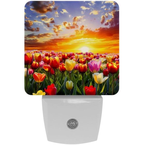 PhooArto Beautiful Tulip Flower Sunset Landscape Plug in LED Night Light Auto Sensor Dusk to Dawn Decorative Night for Bedroom, Bathroom, Kitchen, Hallway, Stairs, Baby's Room, Energy Saving