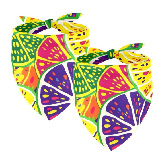 PhooArto Color Fruit Lemon Pattern Dog Bandanas, 2 Pack Soft Washable Pet Scarf Triangle for Large Dogs Puppies and Cats