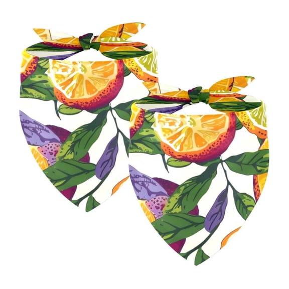 PhooArto Cute Lemon Pattern Dog Bandanas, 2 Pack Soft Washable Pet Scarf Triangle for Large Dogs Puppies and Cats