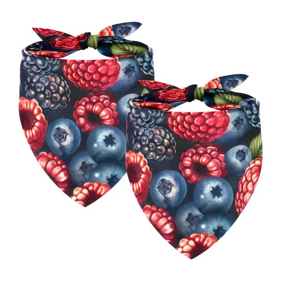 PhooArto Fruits Blueberry Raspberry Pattern Dog Bandanas, 2 Pack Soft Washable Pet Scarf Triangle for Large Dogs Puppies and Cats