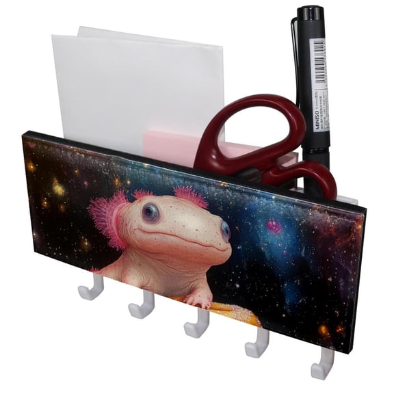 PhooArto Key Holder for Wall Decorative with 5 Key Hooks, Axolotl Donuts Colorful Galaxy Holders Wall Mount Organizer with Mail Key Rack, Self Adhesive
