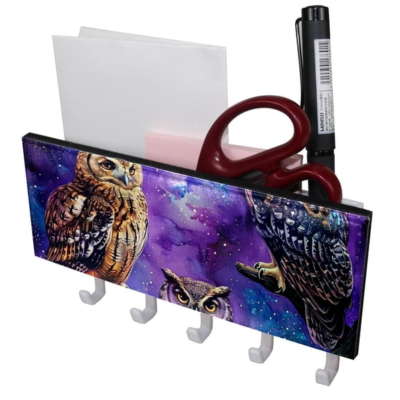 PhooArto Key Holder for Wall Decorative with 5 Key Hooks, Animal Owls on Galaxy Holders Wall Mount Organizer with Mail Key Rack, Self Adhesive