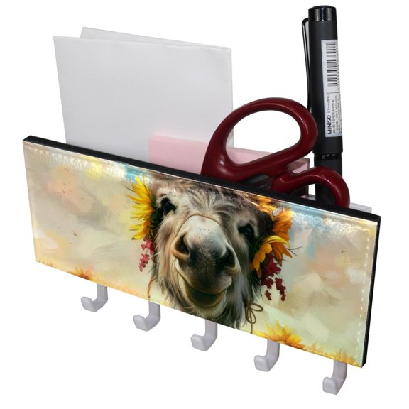 PhooArto Key Holder for Wall Decorative with 5 Key Hooks, Funny Donkey Flowers Holders Wall Mount Organizer with Mail Key Rack, Self Adhesive