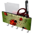 thumbnail image 1 of PhooArto Key Holder for Wall Decorative with 5 Key Hooks, Ladybugs Art Pattern Holders Wall Mount Organizer with Mail Key Rack, Self Adhesive, 1 of 7