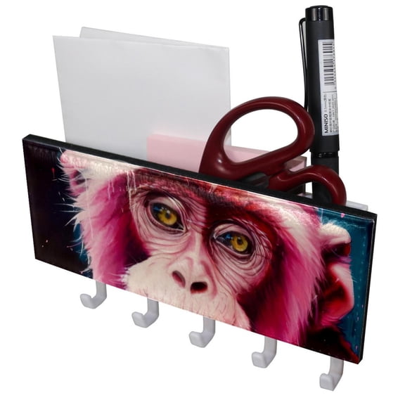 PhooArto Key Holder for Wall Decorative with 5 Key Hooks, Pink Monkey Painting Holders Wall Mount Organizer with Mail Key Rack, Self Adhesive
