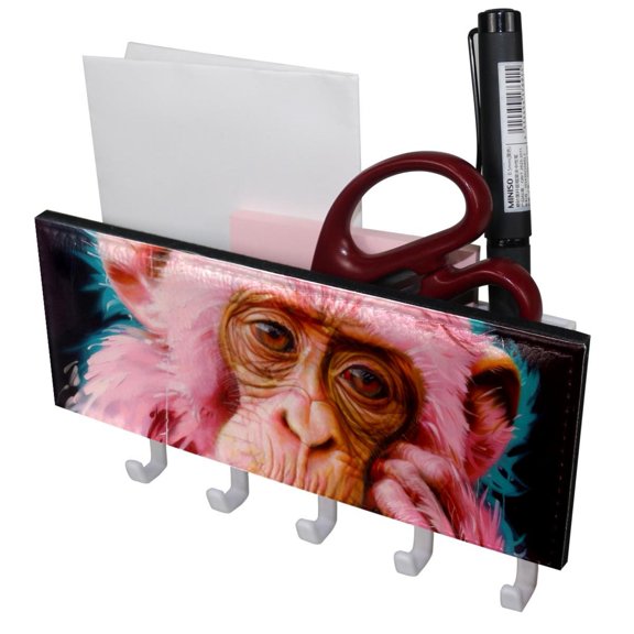 PhooArto Key Holder for Wall Decorative with 5 Key Hooks, Pink Monkey Splash Painting Holders Wall Mount Organizer with Mail Key Rack, Self Adhesive