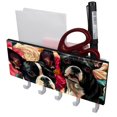 thumbnail image 1 of PhooArto Key Holder for Wall Decorative with 5 Key Hooks, Terriers Flowers Pattern Holders Wall Mount Organizer with Mail Key Rack, Self Adhesive, 1 of 7
