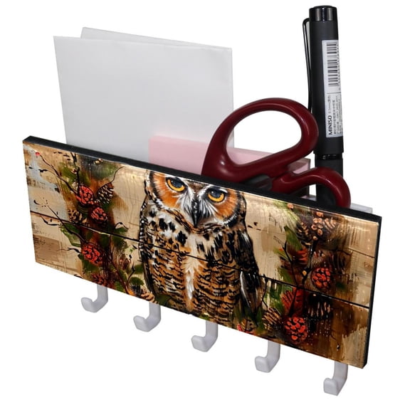 PhooArto Key Holder for Wall Decorative with 5 Key Hooks, Vintage Owl on Wood Holders Wall Mount Organizer with Mail Key Rack, Self Adhesive