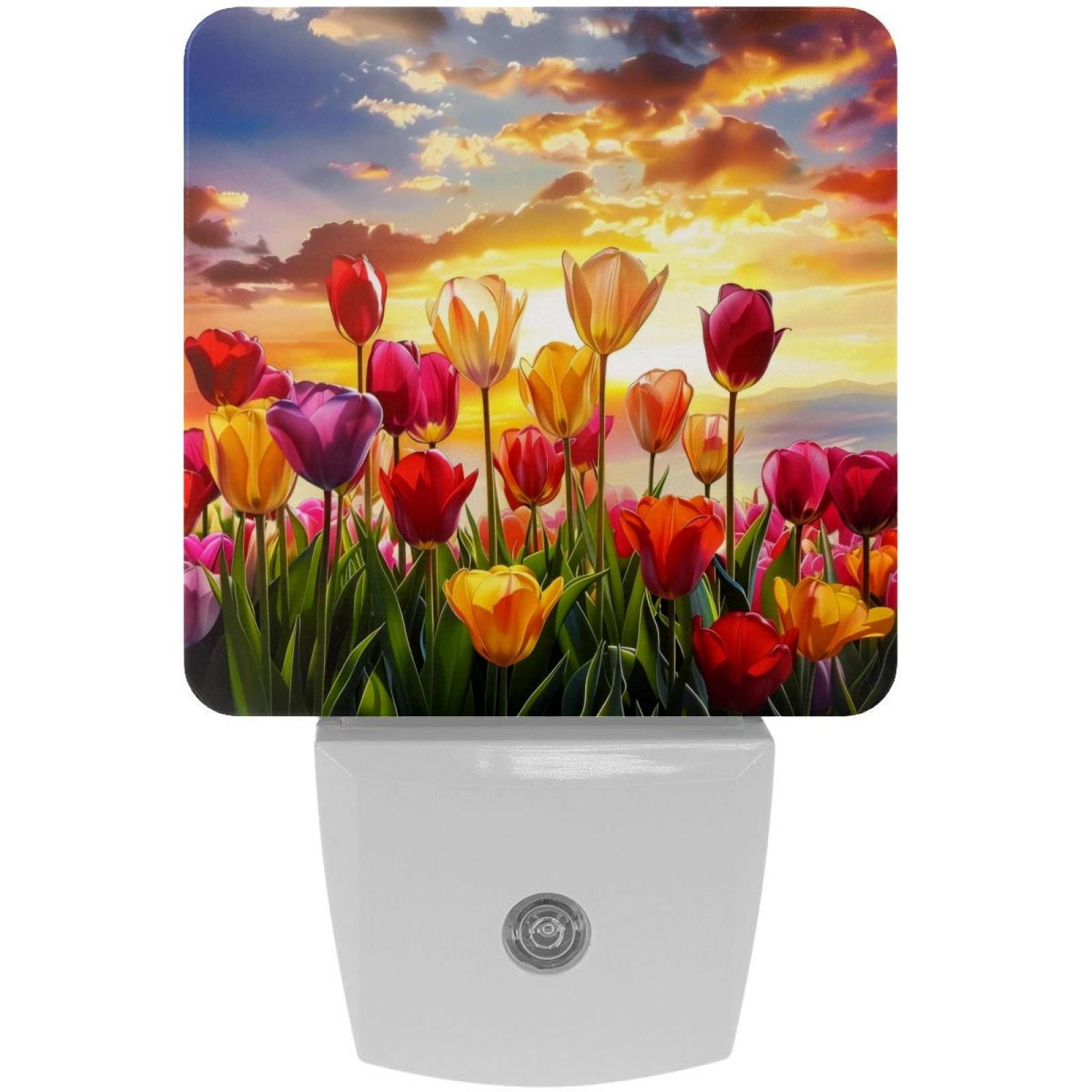 PhooArto Tulip Floral Sunset Landscape Plug in LED Night Light Auto ...