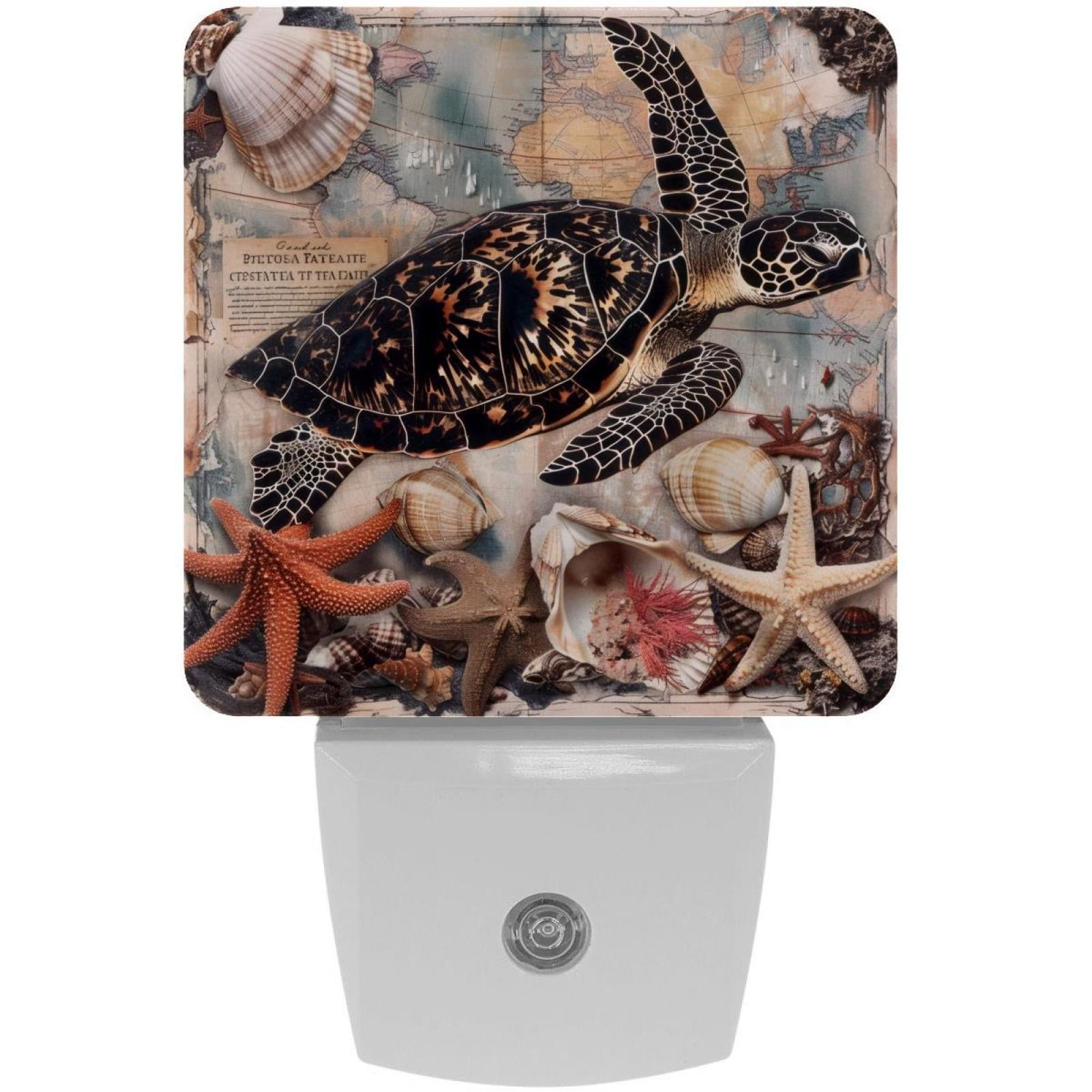 PhooArto Vintage Map Sea Turtle Starfish Plug in LED Night Light Auto Sensor Dusk to Dawn Decorative Night for Bedroom, Bathroom, Kitchen, Hallway, Stairs, Baby's Room, Energy Saving
