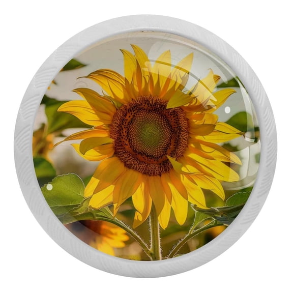 PhooArto Yellow Floral Sunflowers Bloom 4 PCS Crystal Glass Cabinet Knobs, Drawer Kitchen Cabinets Dresser Cupboard Wardrobe Pulls Handle - Glowing in the Dark