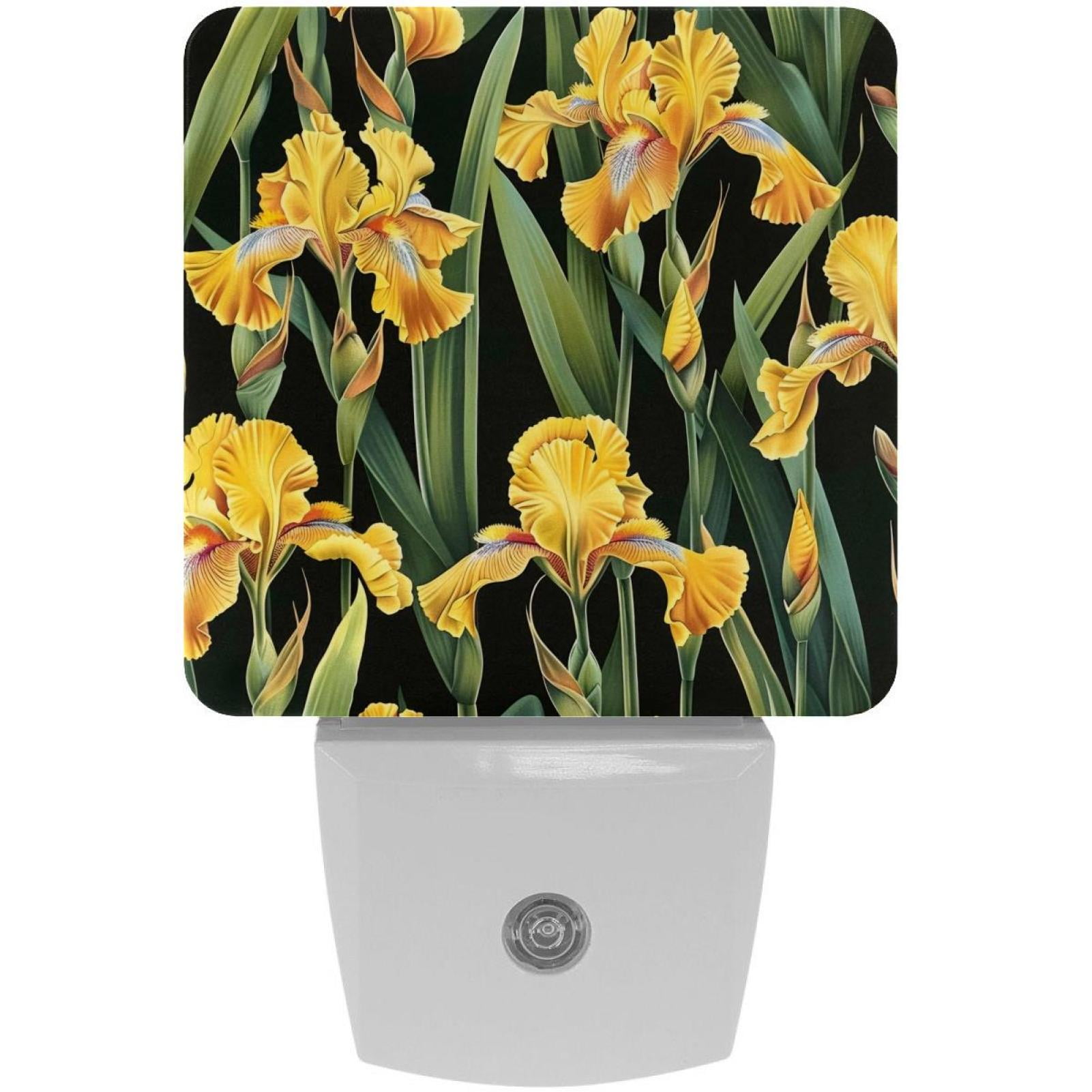 PhooArto Yellow Iris Flowers Pattern Plug in LED Night Light Auto Sensor Dusk to Dawn Decorative Night for Bedroom, Bathroom, Kitchen, Hallway, Stairs, Baby's Room, Energy Saving
