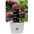 thumbnail image 1 of PhooArto Zen Basalt Stones and Orchid Plug in LED Night Light Auto Sensor Dusk to Dawn Decorative Night for Bedroom, Bathroom, Kitchen, Hallway, Stairs, Baby's Room, Energy Saving, 1 of 7