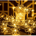 thumbnail image 1 of Phopollo 50LED Star String Lights,16.4FT Battery Powered Fairy Christmas Decorative Novelty Light for Home Bedroom Garden Wedding Party (Warm White), 1 of 6
