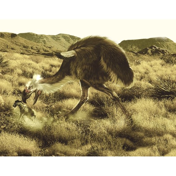 Phorusrhacos flightless bird hunting down a Theosodon in an open field Canvas Art - Jan SovakStocktrek Images (16 x 13)