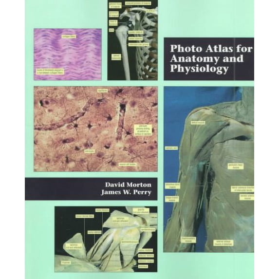 Photo Atlas for Anatomy and Physiology (Paperback) by David Morton, James W Perry