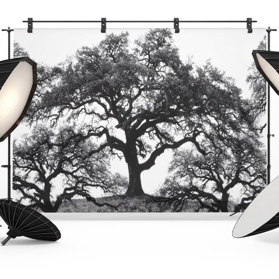 Photo Backdrop 5x7 ft Oak Tree Forest Photography Backdrops Picture Wall Covering Black Deep Roots Branches Photo Booth Drapes for Backdrop Photoshoot Wedding Party Birthday Background Screen