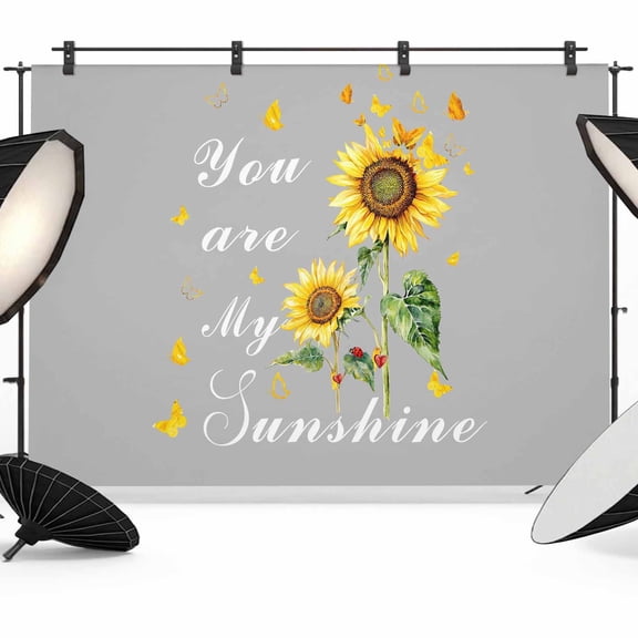 Photo Backdrop 5x7 ft Sunflowers Photography Backdrops Curtains Wall Covering Grey Butterfly You Are My Sunshine Photo Booth Drapes for Backdrop Photoshoot Wedding Party Birthday Background Screen