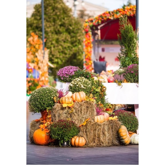 Photo Backdrop Autumn Harvest Pumpkins Haystack Farm Party Child Family Shoot Photozone Photography Background Photocall