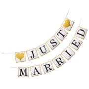 Photo Backdrop Just Married Decorations Out Door Wedding Paper Banner Hanging Flash