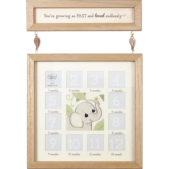 Photo Frame-Baby S First Year (Holds 12 Photos)