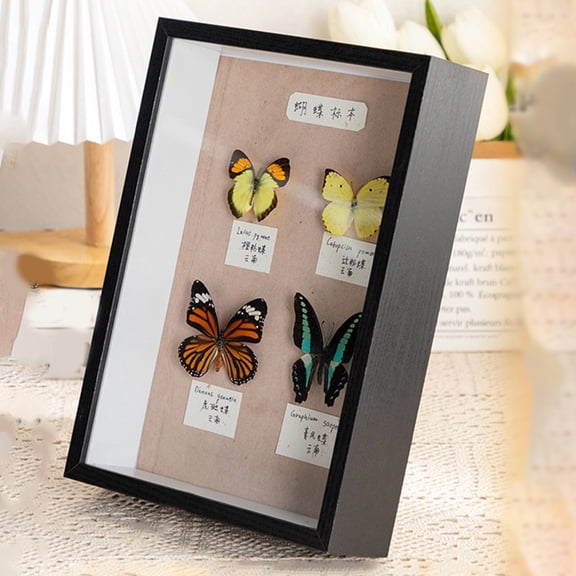 Photo Frame for Specimens, Hollow 5cm Three-Dimensional Design, 6/7/8/10 Inch or A4, Table Display Frame for Photos, Elegant Protection and Showcase, 6 inches
