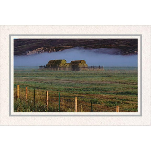 Photo Insert Card, Cardstock with Bold Border, Set of 10 for 4x6 Photos