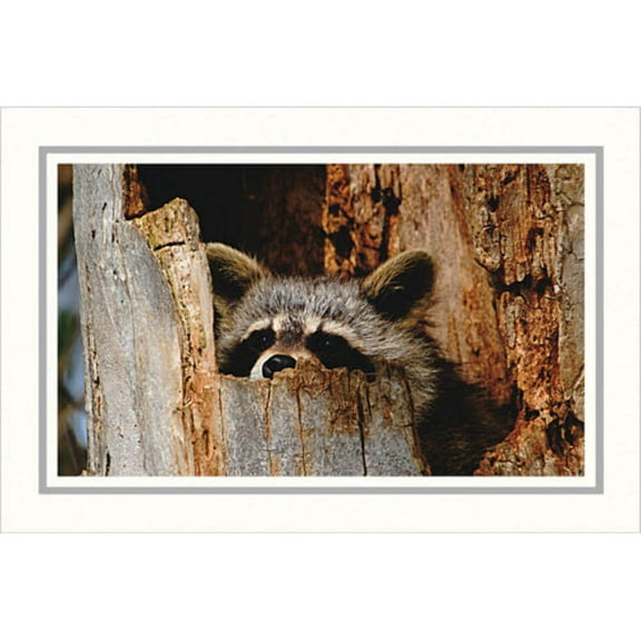 Photo Insert Card, Cardstock with Bold Border, Set of 10 for 4x6 Photos