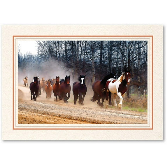 Photo Insert Card, Cardstock with Double Border, Set of 10 for 4x6 Photos
